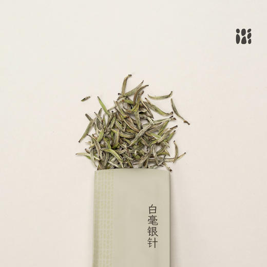 「北路白茶」24炭焙白毫银针  福鼎白茶白毫银针2024年高山茶叶60g 商品图4