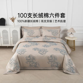 2025年秋冬新款雅芳婷双面磨毛四件套全棉纯棉田园风被套保暖套件