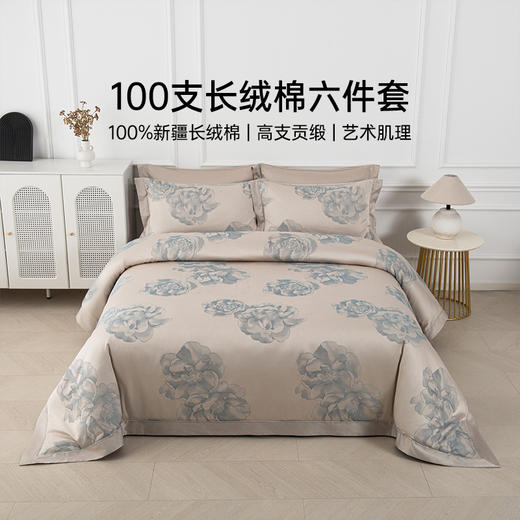 2025年秋冬新款雅芳婷双面磨毛四件套全棉纯棉田园风被套保暖套件 商品图0