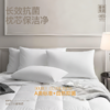 【白禾】【白禾上新】【爆款上新】5A抗菌清逸云柔对装枕芯 商品缩略图1