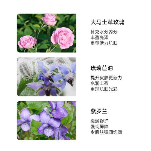 雅琪朵：玫瑰美颜霜50ml  补水保湿提亮肤色提拉紧致有机 商品图2