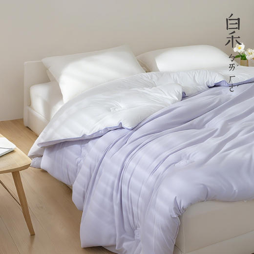 【白禾】【新款】白禾A火山双面绒舒适被芯 商品图7
