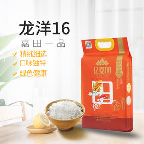 龙阳16(六面）2.5kg
