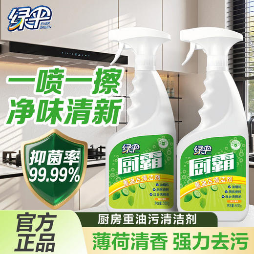 绿伞厨霸500g油烟净厨房重油污清洁剂抽油烟机灶台瓷砖去重油 商品图2