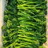 云南高山西兰苔【500克】 商品缩略图2