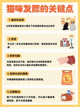 猫咪长肉发腮一篇讲清楚，建议收藏🐱