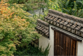 🍃 春季大促丨武义璟园蝶来·望境酒店 × 2晚连住套餐丨金华