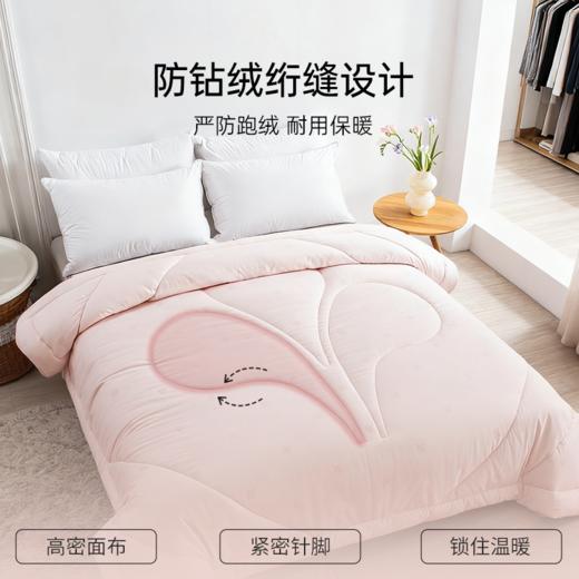 2025年秋冬新款雅芳婷纤维被子宿舍单人学生冬被抑菌防螨冬季被芯 商品图4