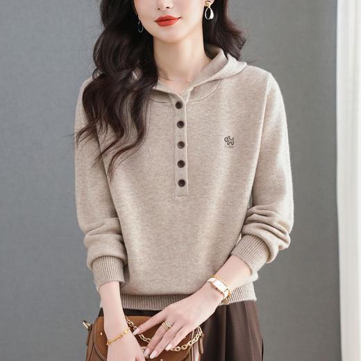 连帽毛衣宽松休闲小狗，刺绣针织 百搭短款打底卫衣CC-5-6609 商品图3