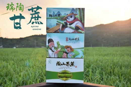 【顺丰包邮】2025年头茬鲜果上市可以手撕的陶山甘蔗 青皮果蔗 皮薄质脆 纤维细而少 汁水充沛 妥妥的糖水炸弹 甘蔗爱好者不可错过 基地直邮 商品图11