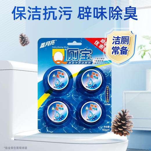 10001426【品牌直发】12块耐用360天* 蓝月亮松木清香Q厕宝固体洁厕块除菌去异味 50g*4块*3板共计12块 商品图4