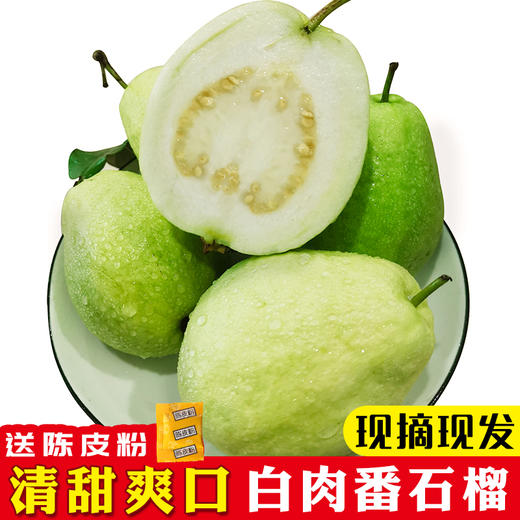 【助农】番石榴 （5斤装） 商品图2