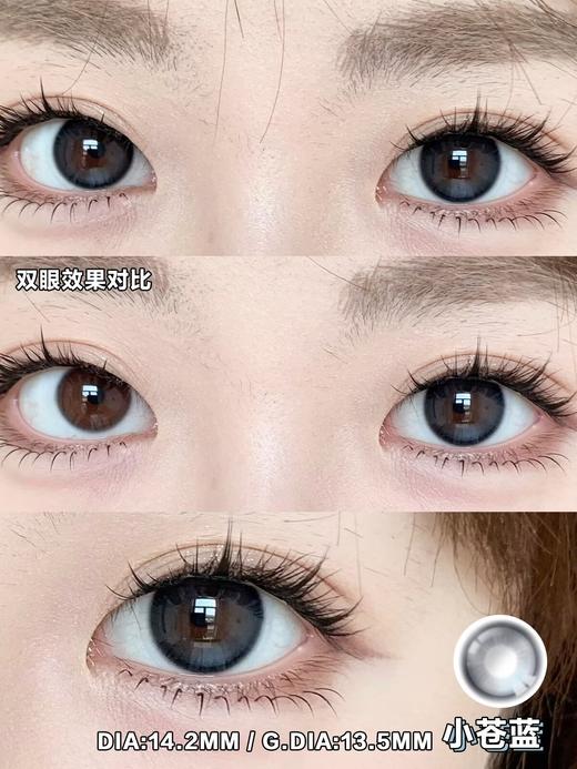 Bariecat日抛·小仓蓝/小青心·14.2mm中等着色·10片日抛 商品图1