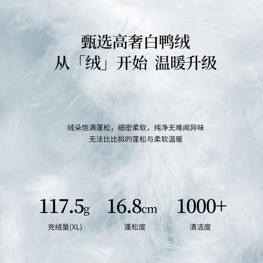 【10/29新品】熙世界灰色珠片绣短款羽绒服女冬2025新款千金风保暖立领鸭绒外套 商品图3