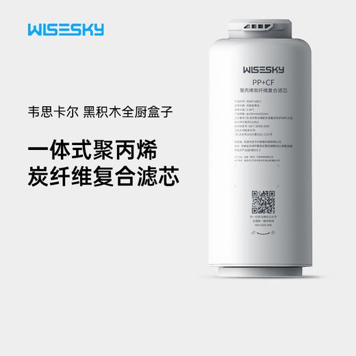 WISESKY黑积木C2全厨盒子原装活性炭净水机一体式炭纤维复合滤芯WSKP-100-C 商品图0