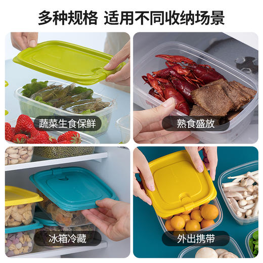 【茶花】贝格冰箱保鲜盒野餐露营打包盒 商品图6