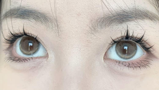 贵妇年抛Winni·Hebe棕·14.5mm中大着色·韩产2片 商品图5