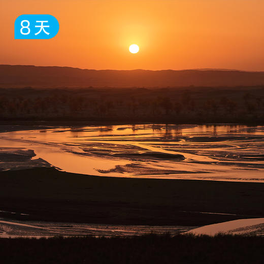 新线首发｜穿越塔克拉玛干沙漠 探秘达里雅布依 遇见南疆胡杨林 60公里徒步露营 8日 商品图9