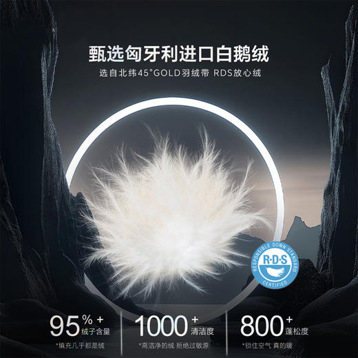 天石 鹅铠甲 G303厚羽绒服男女同款 （tbzg）确认收货后联系客服送保温杯 商品图1