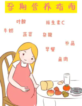 孕期饮食建议
