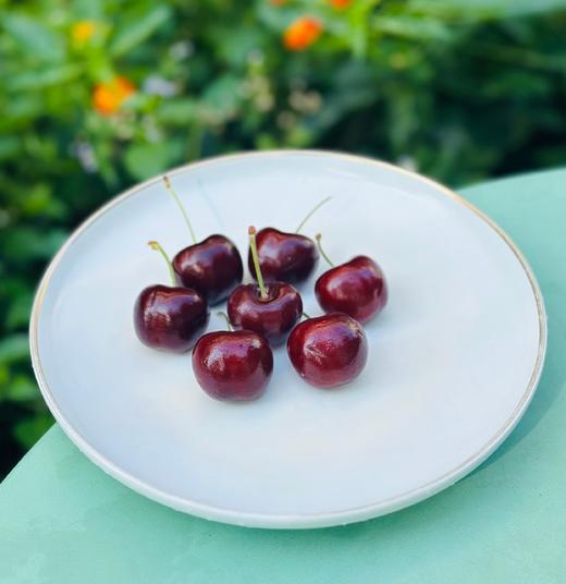 智利黑车厘子|智利黑车厘子，大果，纯甜，皮薄果肉细致，柔嫩蜜甜，太爽口，太过瘾了~ 商品图4