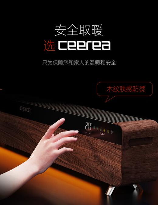 西丽5D火焰取暖器 商品图2