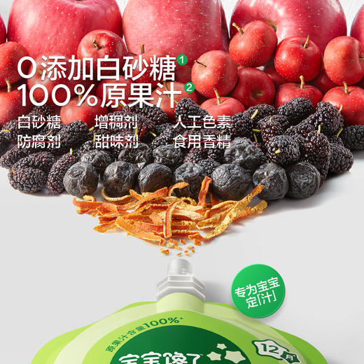 宝宝馋了 宝宝山楂汁 100g*10 商品图4