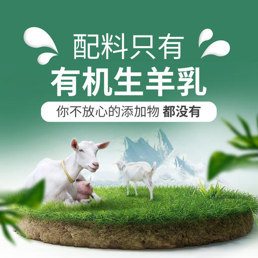 【草木羊】新疆原产有机纯羊奶粉全脂无蔗糖无添加高钙高蛋白600g 商品图4