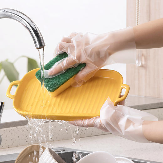 【茶花】一次性柔韧手套PE款强韧防破 商品图8