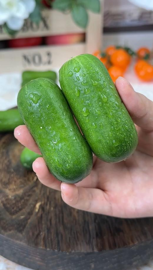 拇指黄瓜 清脆多汁 一口一根 超好吃 商品图1