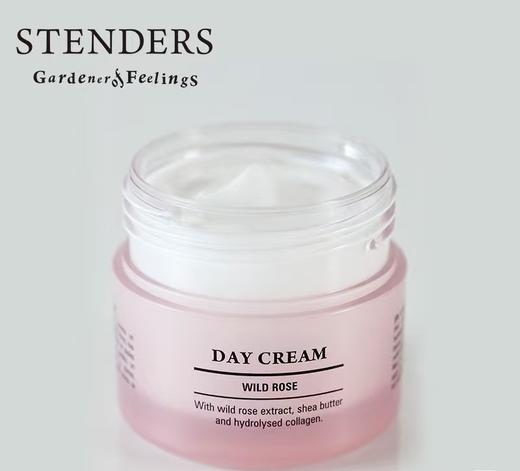 STENDERS 施丹兰 野玫瑰沁透保湿日霜 商品图0