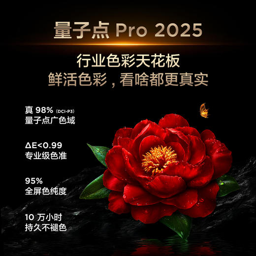 TCL电视 98Q10L 98英寸 极景QD-Mini LED 蝶翼华曜屏 万象分区 绚彩XDR 5000nits 超薄电视 商品图6