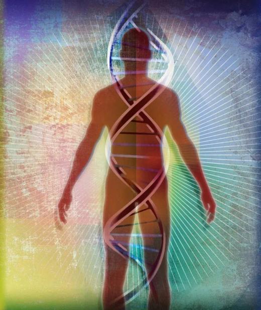 2.炼气认知 了解身体 商品图0