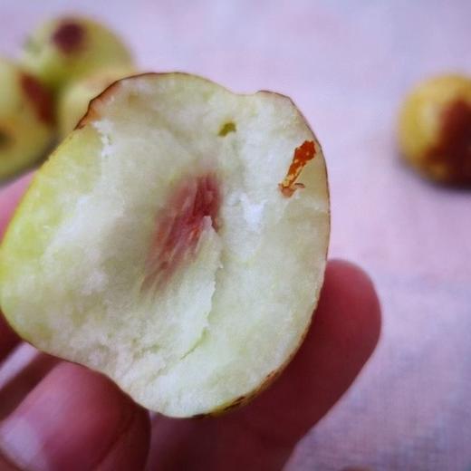 山东沾化冬枣 3斤（脆甜无渣，汁水丰富，皮薄核小） 商品图3