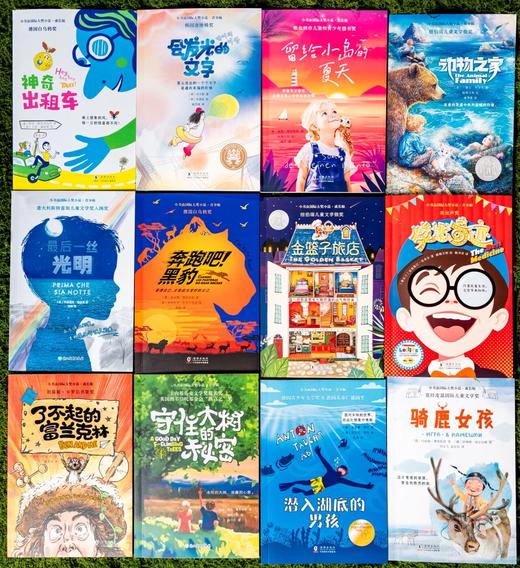 《小书虫国际大奖小说》（全12册），屡获国际大奖，一次囊括世界儿童文学，本本大奖、紧贴语文课本，滋养孩子一生。 商品图3