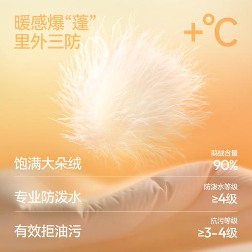 森马羽绒服女鹅绒三防oversize冬季2025新款立领龟背面包服小个子 商品图2