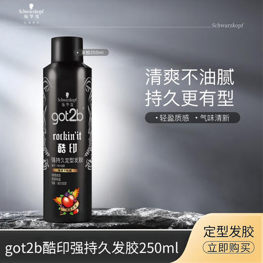 Got2b酷印强持久发胶250ml 商品图0