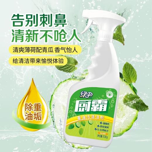 绿伞厨霸500g油烟净厨房重油污清洁剂抽油烟机灶台瓷砖去重油 商品图1