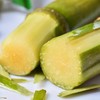 【顺丰包邮】2025年头茬鲜果上市可以手撕的陶山甘蔗 青皮果蔗 皮薄质脆 纤维细而少 汁水充沛 妥妥的糖水炸弹 甘蔗爱好者不可错过 基地直邮 商品缩略图1