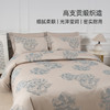 2025年秋冬新款雅芳婷双面磨毛四件套全棉纯棉田园风被套保暖套件 商品缩略图3