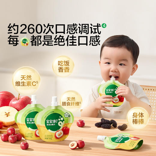 宝宝馋了 宝宝山楂汁 100g*10 商品图3