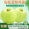 【厂商直发】有机王林苹果清脆多汁果肉清甜细腻现摘新鲜包邮 商品缩略图0