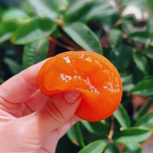 【一口爆浆！】富平冰柿  500g/盒 （6枚/盒或8枚/盒随机发货） 秋冬里的 “天然水果冰淇淋”，比鲜柿甜到心巴，比柿饼更爆浆 商品图7