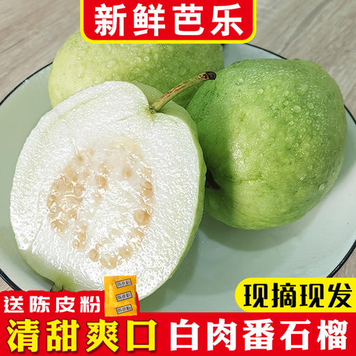 【助农】番石榴 （5斤装） 商品图1