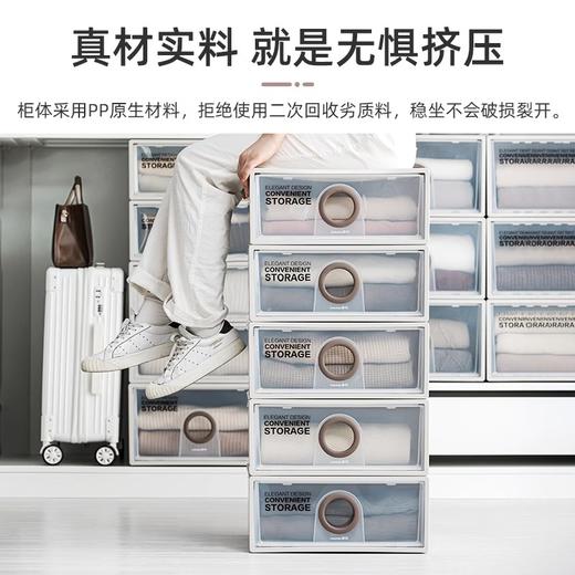 【茶花】抽屉式收纳柜卧室衣柜收纳2只装 商品图4
