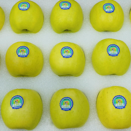 【瑞雪苹果】15枚70mm小果 青绿色苹果清甜无酸 一口吃出百花香  新鲜陕西洛川苹果新品种瑞雪苹果  5斤左右 商品图4