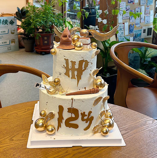 哈利波特主题双层蛋糕（年龄备注） 商品图0