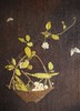 【已售】独角鹿西洋古董 19世纪末日本明治时期出品篮果飞蝶主题芝山象嵌饰板 商品缩略图2