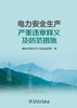 电力安全生产严重违章释义及防范措施 商品缩略图1
