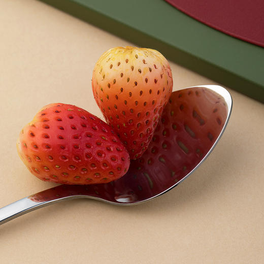 【茶花】甄享不锈钢家用餐勺 商品图6